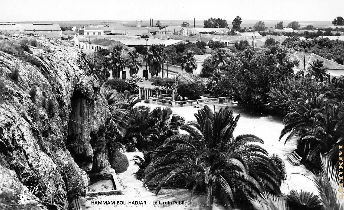 Hammam-Bou-Hadjar - Jardin Public.jpg